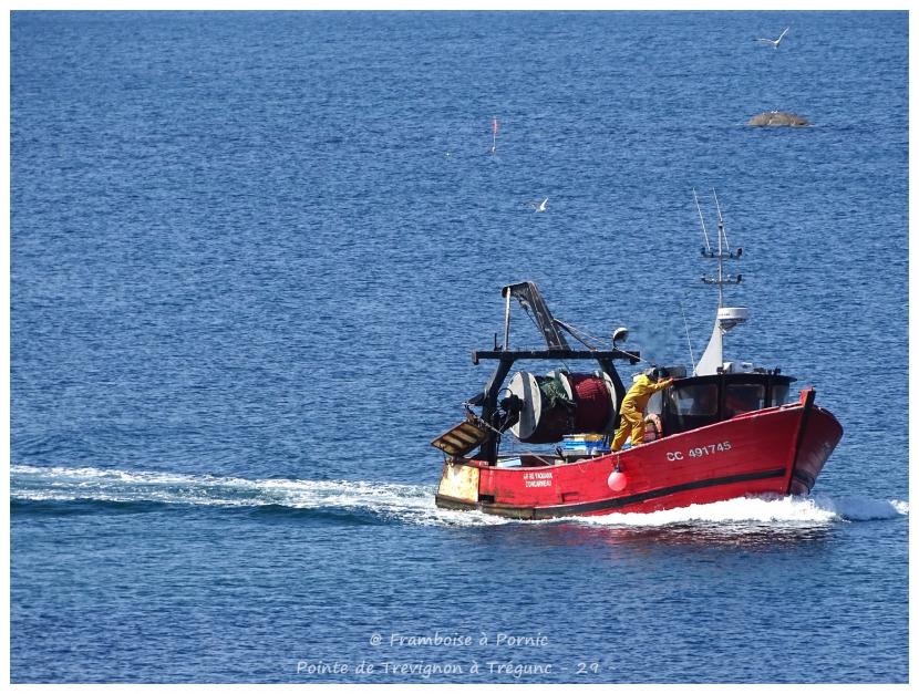 Pointe de Trévignon à Trégunc - 29 -