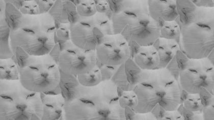 Midnight Juggernauts ..chat alors !
