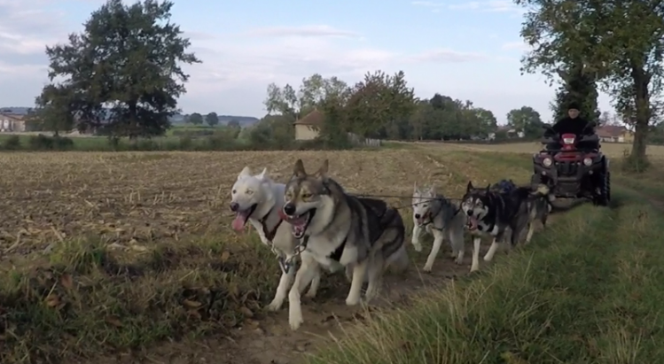 Entrainements Octobre