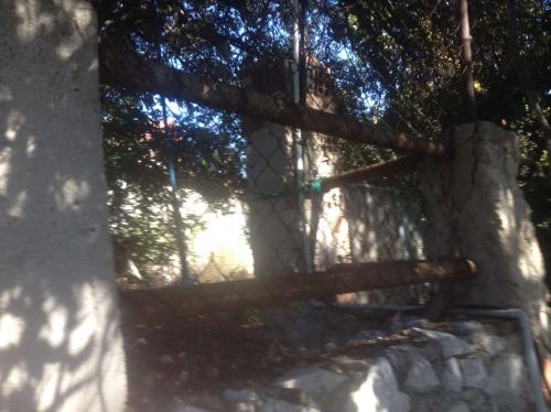 Maison inaccessible en milieu urbain