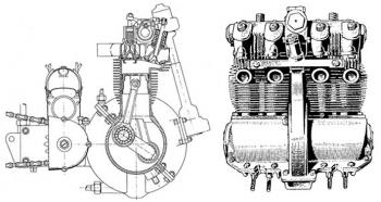 Les poissons jumeaux du "Renard argenté"