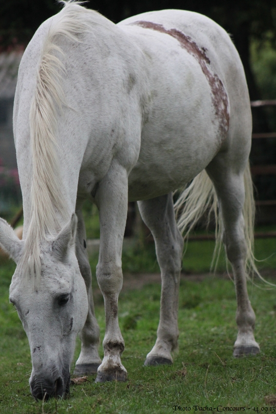 doudou & black 14/09/13