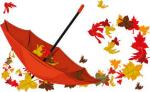 Rose d'automne