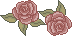 46381262_p