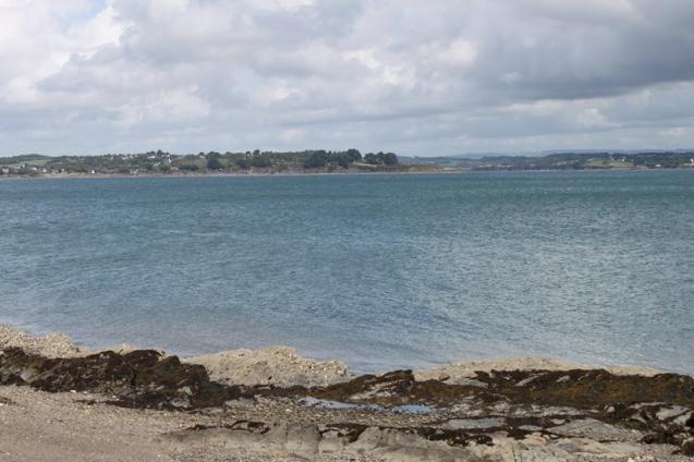 Promenade à Plougastel 5 08 2012 025