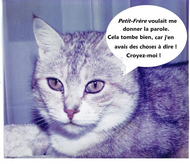Savoir faire parler son animal domestique après l'avoir observé...