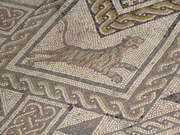 La ville de Grand dans les Vosges, possède une mosaïque gallo-romaine extraordinaire par sa taille et sa beauté !