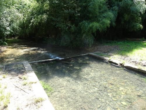 "Baladouce d'été" - Mardi 09 juillet 2024