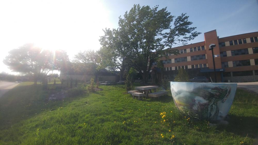 Jardin Pédagogique du Collège Nouvelles Frontières au printemps, le 20 mai 2022