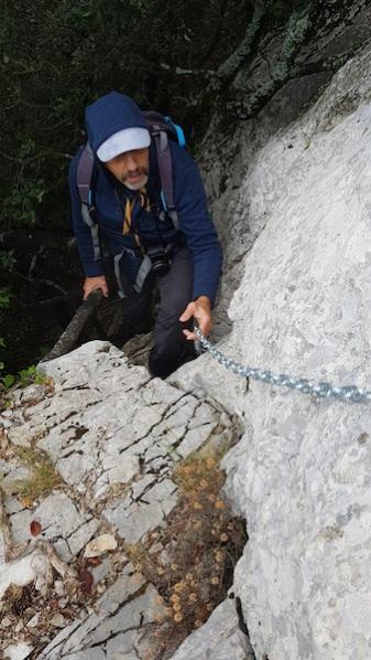 Roque Forcade - 2