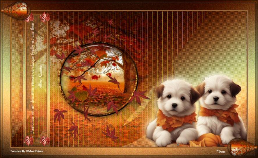 Mon Automne (2)