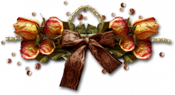 Fleur à la boutonnière ...