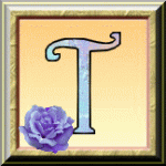 ღ꧁ღ╭⊱ꕥ  Divination ꕥ⊱╮ღ꧂ღ