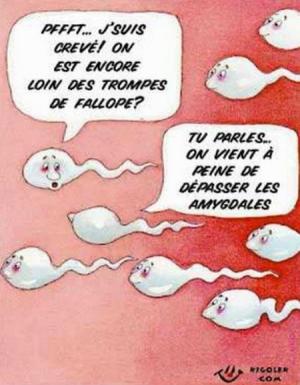 AVEC  HUMOUR