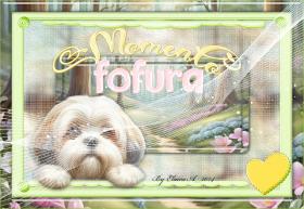 Momento fofura