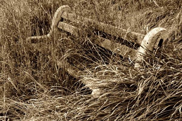 Pause longue...