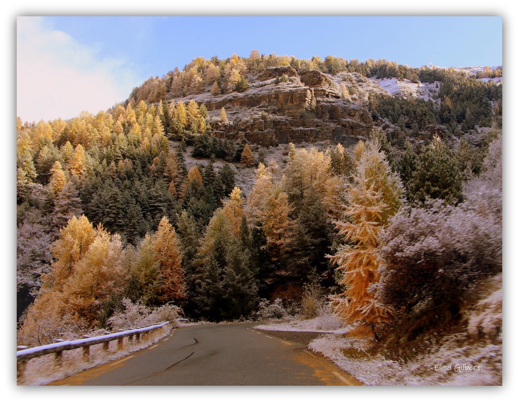 Flirt / Automne-Hiver
