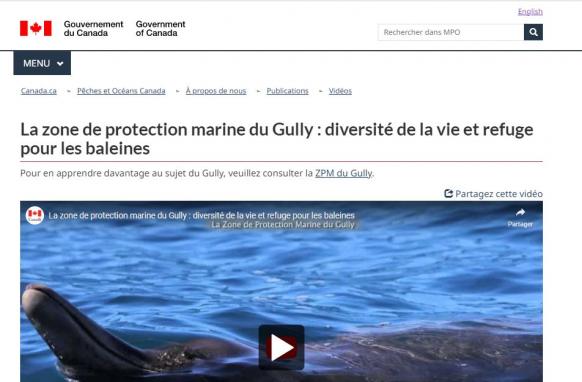 Entraînements au large du Canada et biodiversité