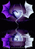 Gif_035.gif
