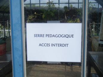 Education nouvelle : rien de nouveau ?