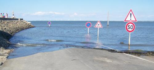 Ile de Noirmoutier  ( Vendée )