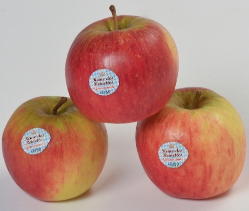 Fruits du mois d'Octobre