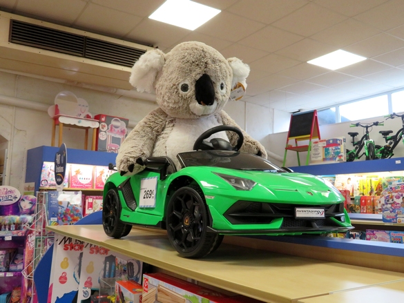 La boutique King-Jouet de Châtillon sur Seine, c'est une caverne d'Ali Baba pour les enfants...et les adultes !