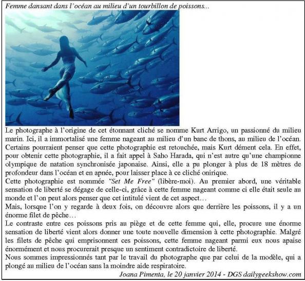 Animaux martiaux