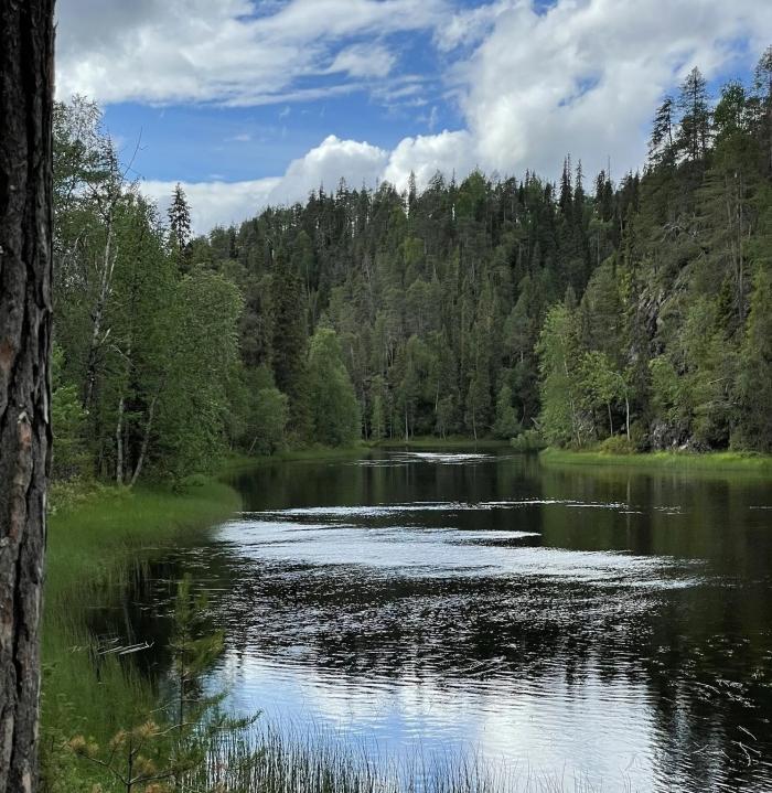 La Finlande dans l'Europe