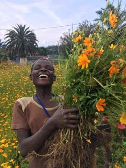 Hello, c'est la newsletter de fin 2019 