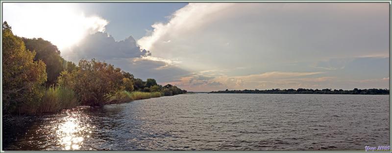 Balade dînatoire nautique sur le Zambèze au coucher de soleil - Victoria Falls - Zimbabwe