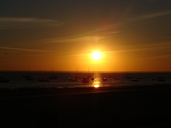 DSC04094-copie-1.JPG