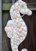 Recup coduillage de mer