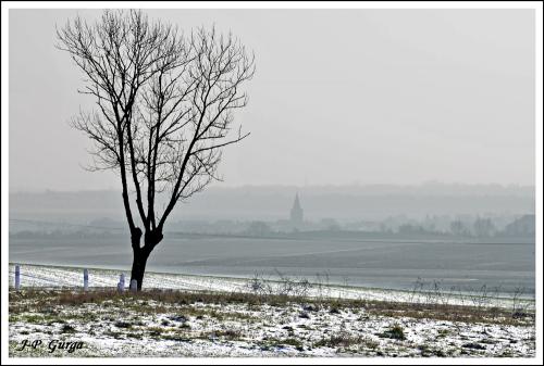 Photos de paysages châtillonnais en hiver, par Jean-Pierre Gurga