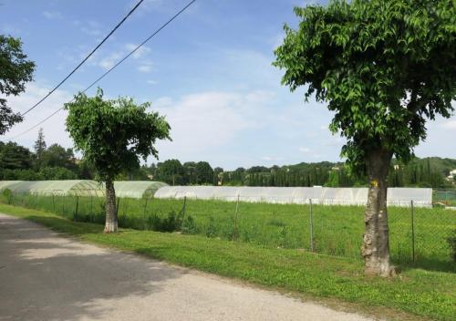 Randonnée "Au fil de l'eau" à Ners