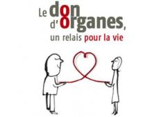 "Tout en douceur" ...