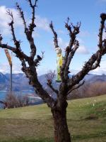 Petites vacances au bord du lac de Serre Ponçon 