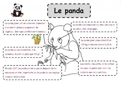 Autour de l'Asie ...