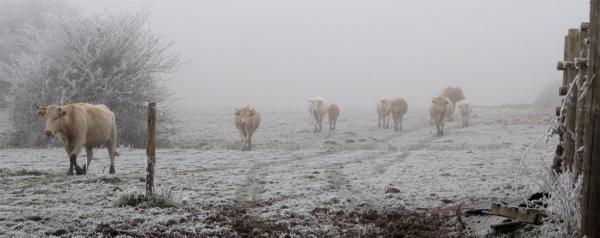 La nature complètement givrée !