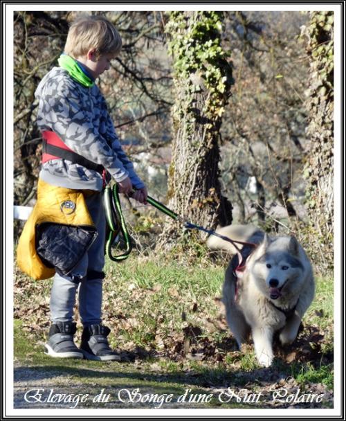 Sortie en famille (17 février 2019)