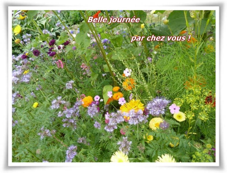 La cuisine aux fleurs ...