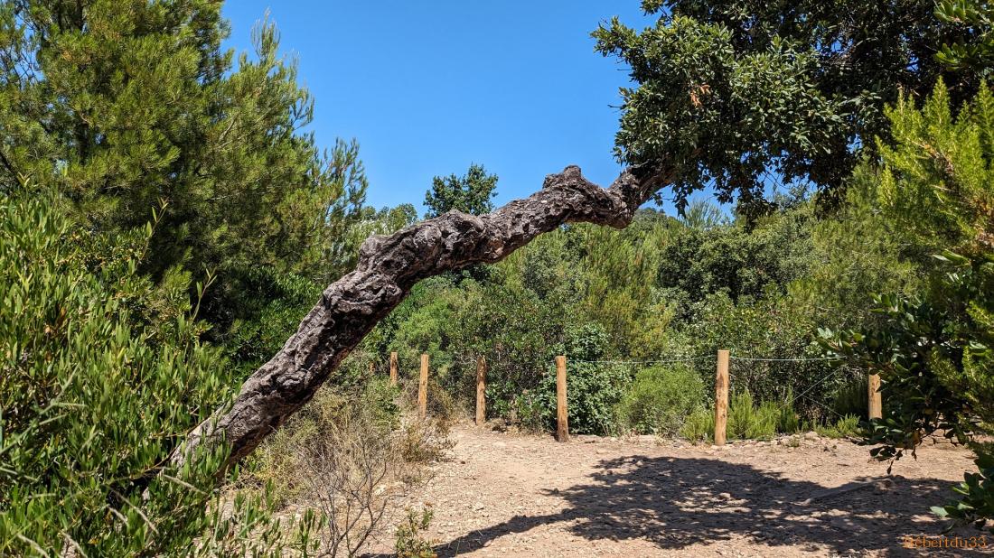 Le Pradet dans le Var - 2
