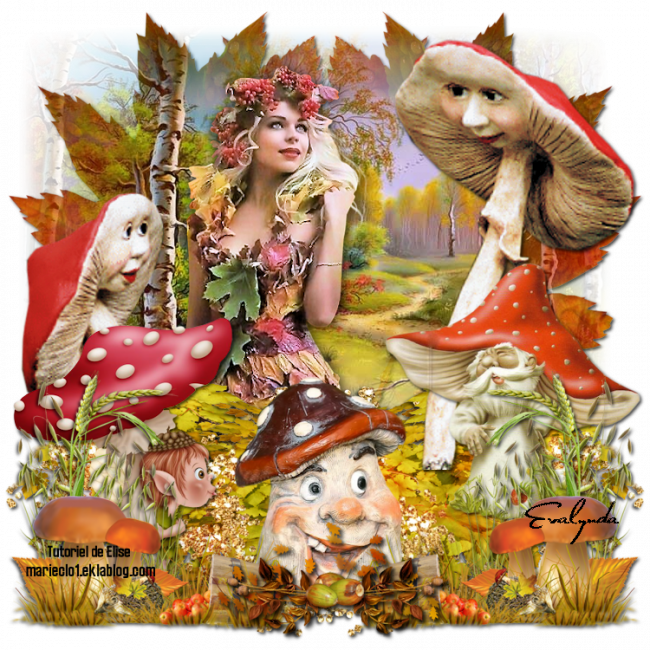 Des champignons un peu fous