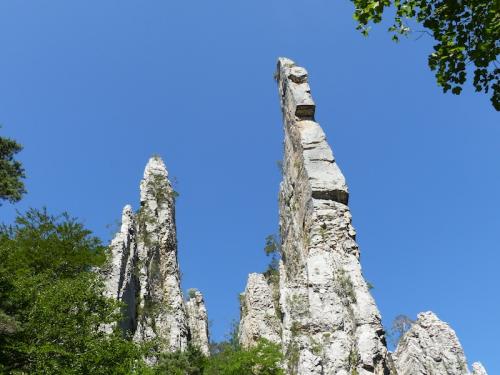 Sucettes de Borne (Haut Diois)