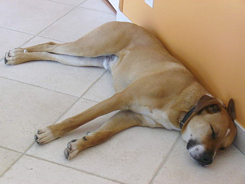 IMGP0051.JPG