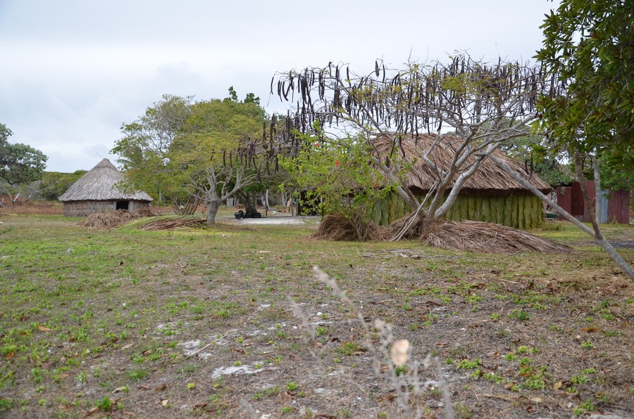 caledonie ouvea schnoebelen