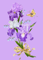 Beauté de l' IRIS ...