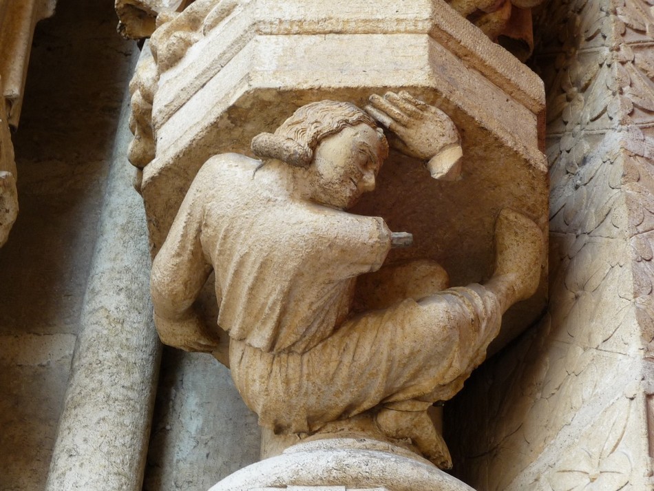 Ils n'ont que 797 ans !