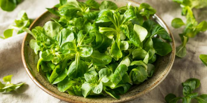 Légumes du mois d'Avril