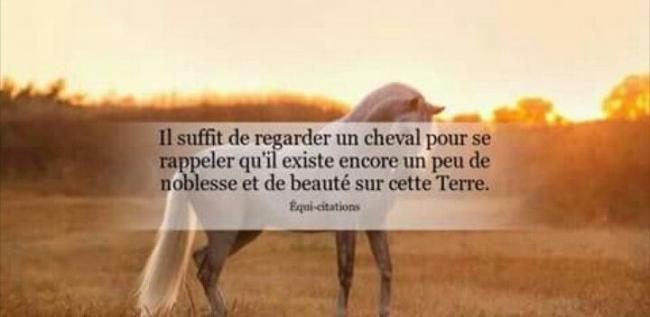 Coups d'coeur "5" ...